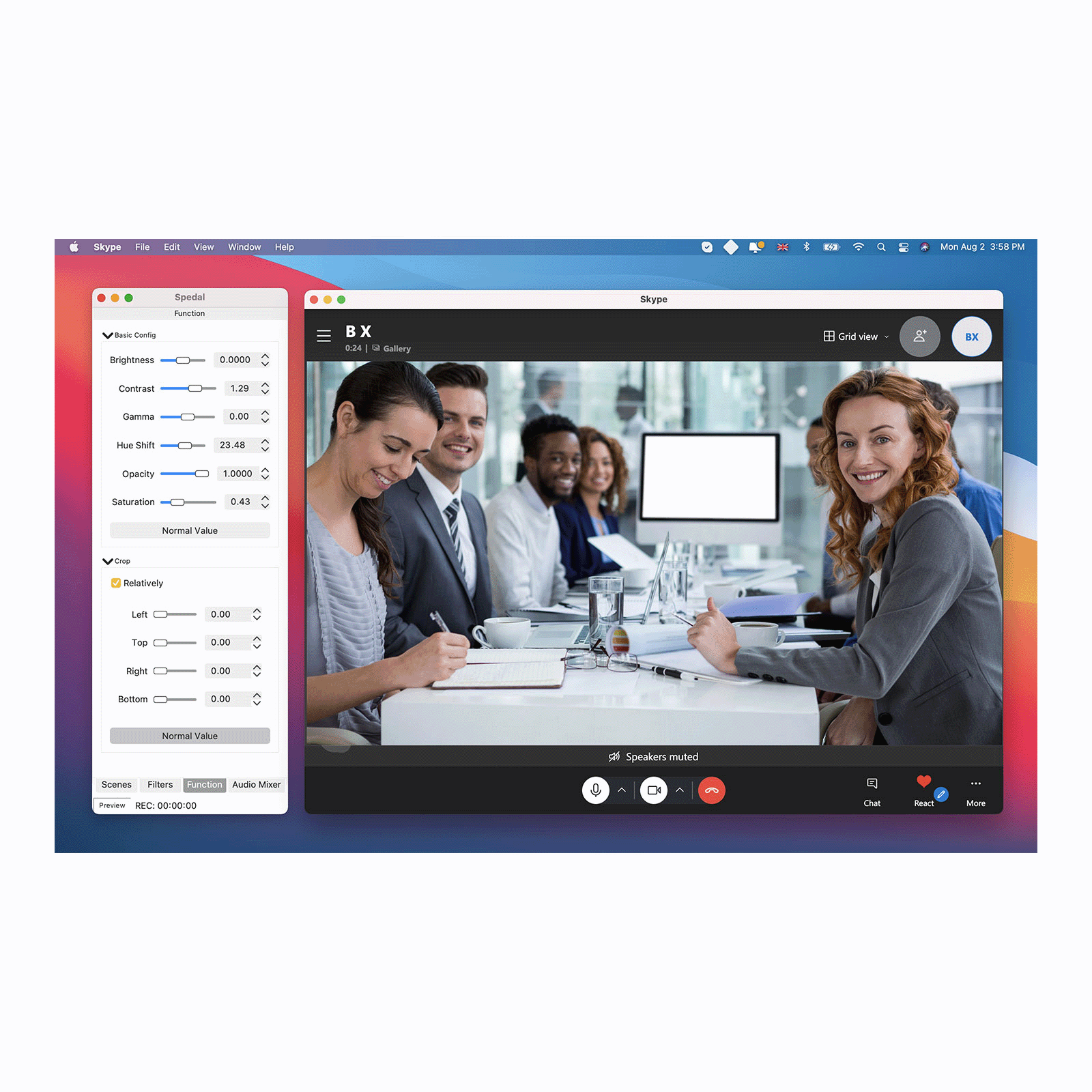 Spedal Webcam software main preview